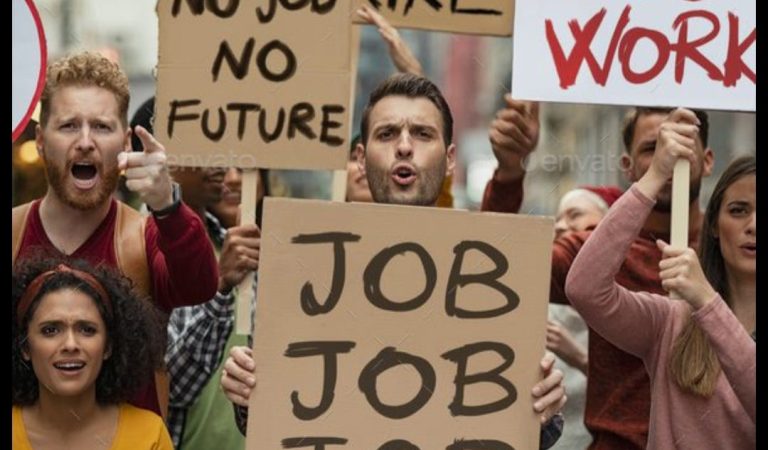 Youth Unemployment on the Decline: New Job Creation Initiatives Pay Off