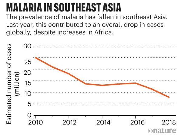 Study Shows Decline in Global Malaria Cases